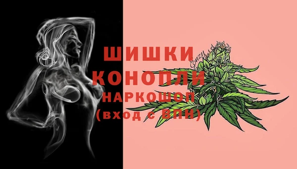 бошки Алексин
