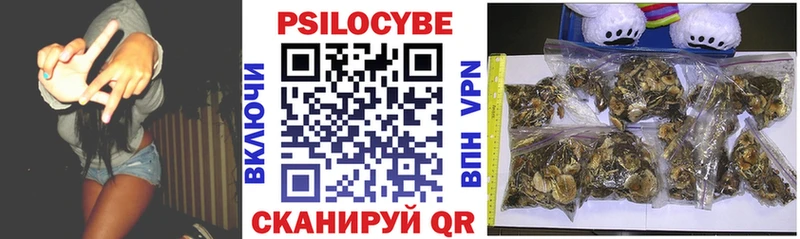 KRAKEN онион  Арск  Псилоцибиновые грибы MAGIC MUSHROOMS  даркнет сайт 